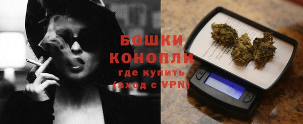 PSILOCYBIN Алзамай