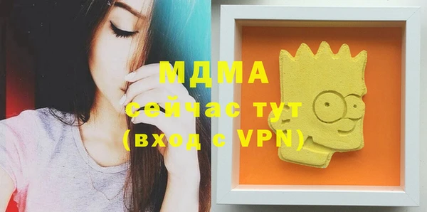 PSILOCYBIN Алзамай