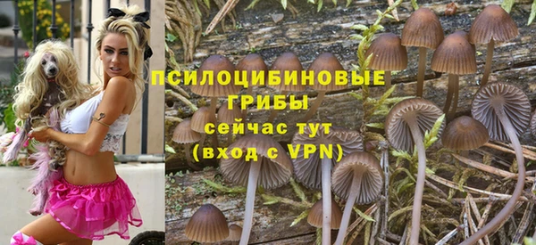 твердый Абаза