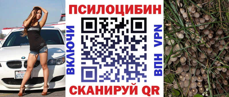 Галлюциногенные грибы Magic Shrooms  дарнет шоп  Шатура 